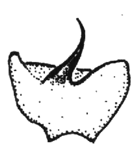 speciesimage