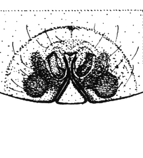 speciesimage