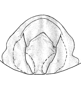 species