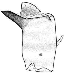 species