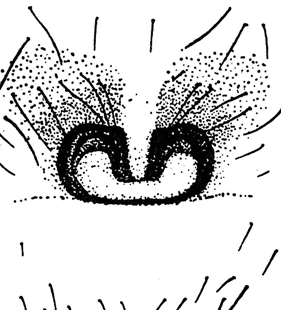 speciesimage