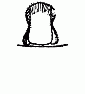 speciesimage
