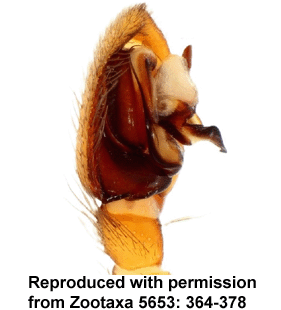 speciesimage
