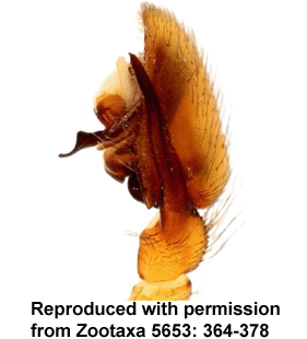 speciesimage