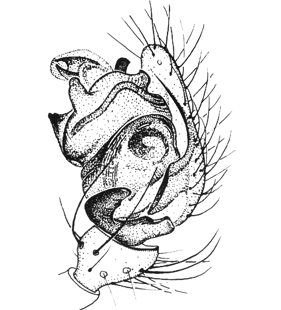 speciesimage