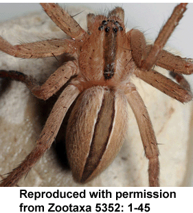 speciesimage
