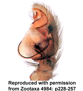 speciesimage