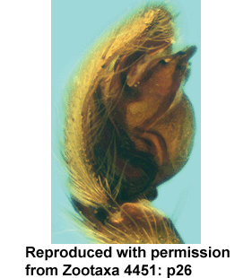 speciesimage