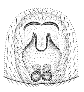 speciesimage