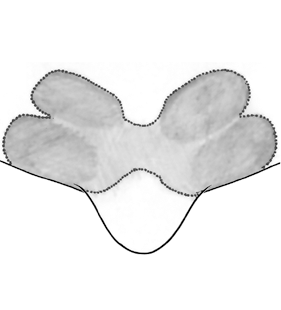 speciesimage