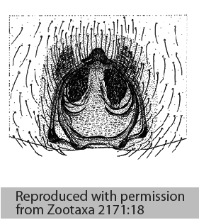 speciesimage
