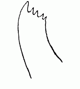 speciesimage