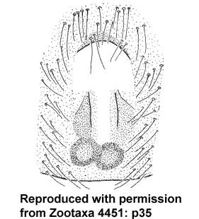 speciesimage