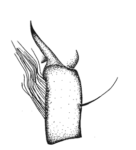speciesimage