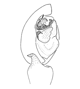 speciesimage