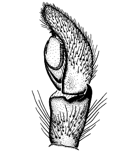speciesimage