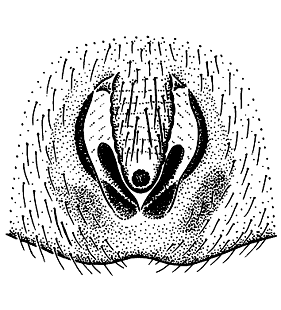 speciesimage