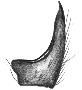 speciesimage