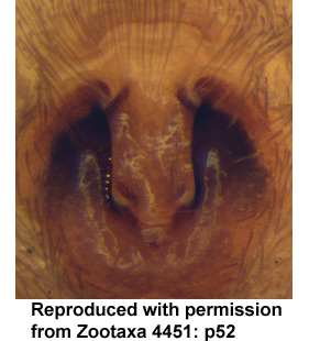 speciesimage
