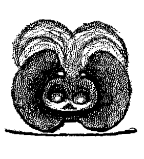speciesimage