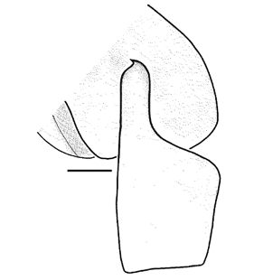 speciesimage