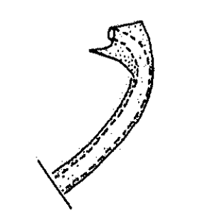 speciesimage