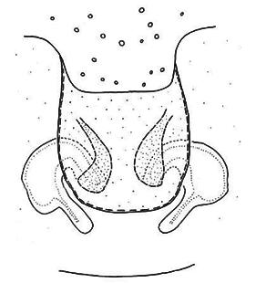 speciesimage