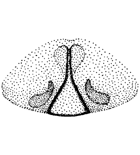 speciesimage