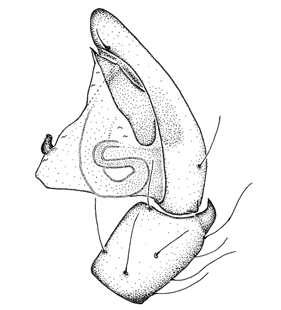 speciesimage