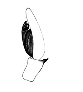 speciesimage
