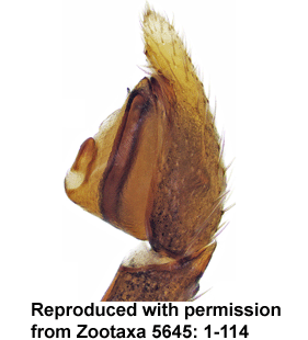 speciesimage