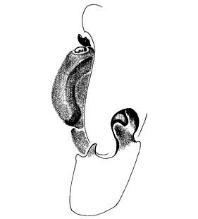 speciesimage