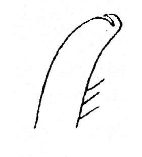 speciesimage