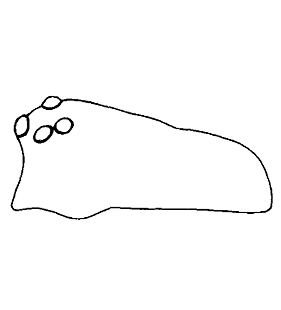 speciesimage