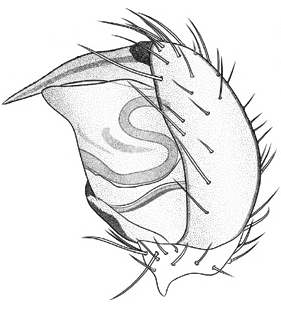 speciesimage