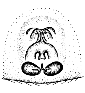 speciesimage