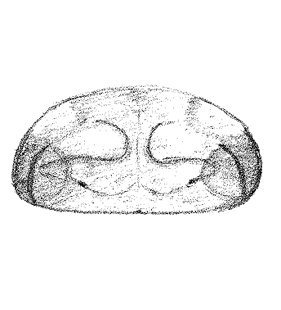speciesimage