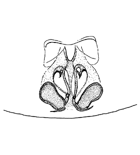 speciesimage