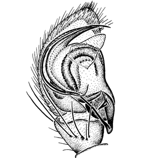 speciesimage