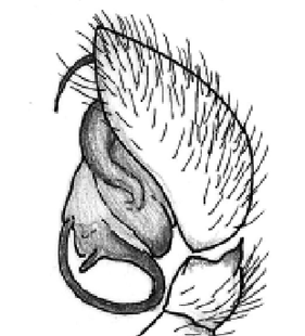 speciesimage