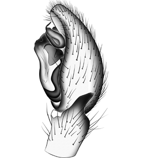 speciesimage