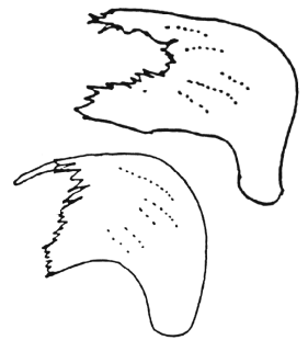 speciesimage