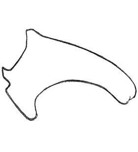 species