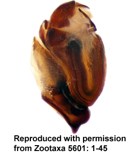 speciesimage