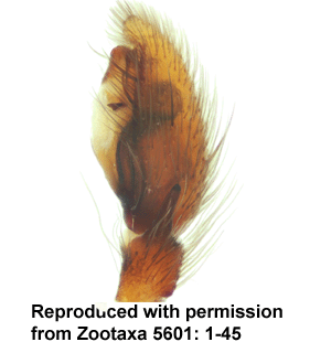 speciesimage