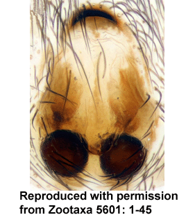 speciesimage