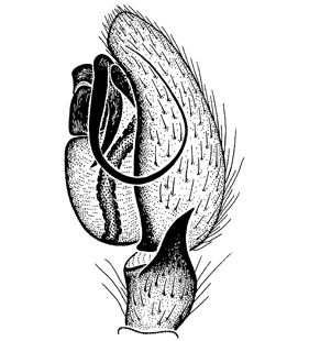 speciesimage