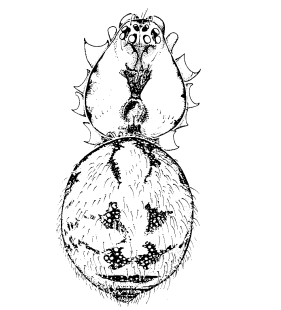 speciesimage