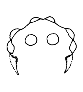 speciesimage