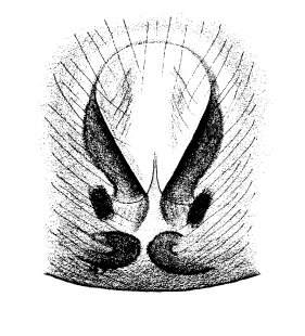speciesimage